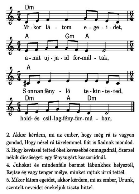 gryllus.jpg gryllus.jpg